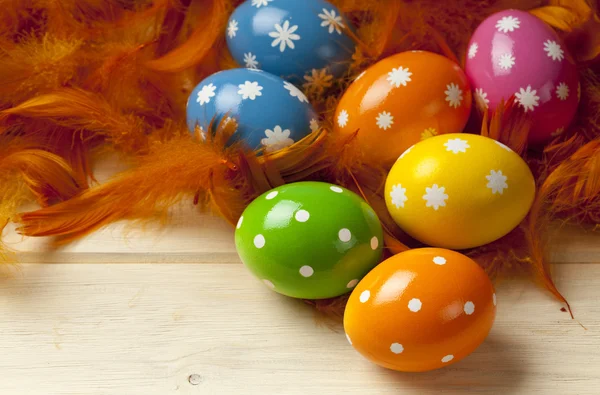 Easter eggs on feather background — Stock Photo, Image