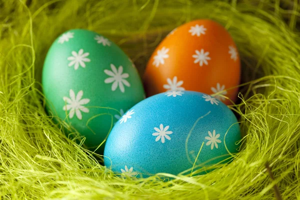 Gekleurde Pasen eieren in het nest — Stockfoto