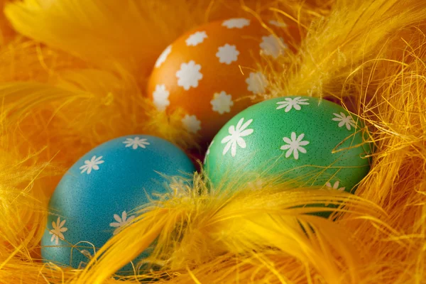 Húsvéti tojás és a tollak — Stock Fotó