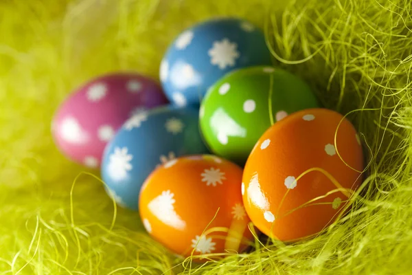 Colored Easter eggs in the nest Royalty Free Stock Images