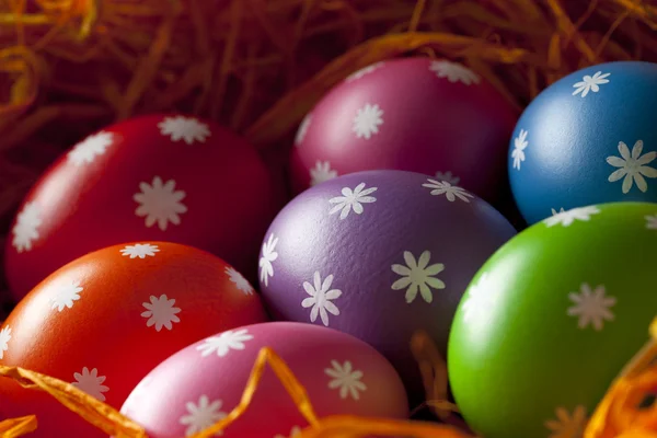 Colored Easter eggs in the nest — Stock Photo, Image