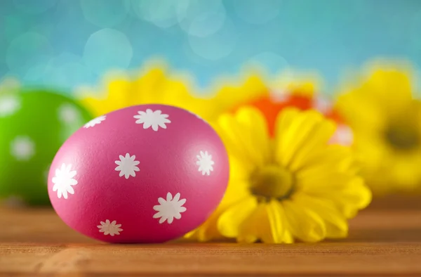 Цветные пасхальные яйца и цветы на голубом фоне — стоковое фото