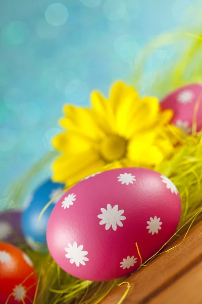 Renkli Paskalya yumurtaları ve mavi renkli çiçekler — Stok fotoğraf