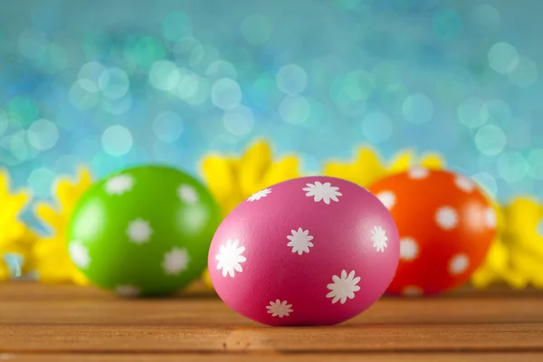 Colored Easter eggs and flowers on blue background — Stock Photo, Image