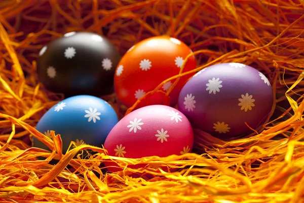 Colored Easter eggs in the nest — Stock Photo, Image