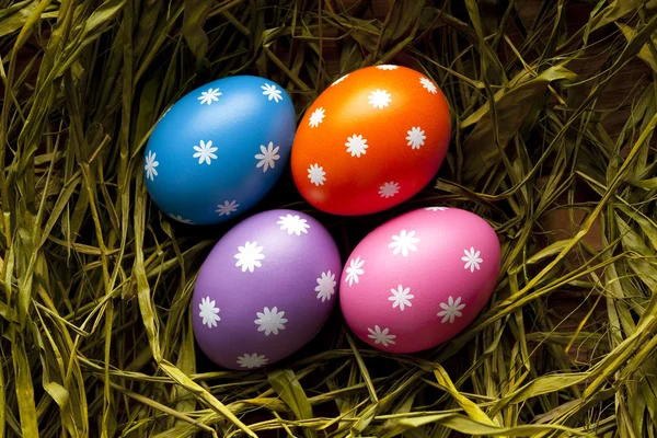 Huevos de Pascua de colores en el nido — Foto de Stock