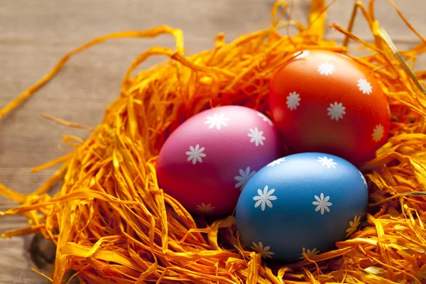 Huevos de Pascua de colores en el nido —  Fotos de Stock