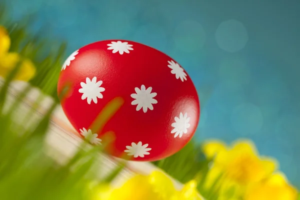 Huevos de Pascua de colores sobre fondo azul del cielo —  Fotos de Stock