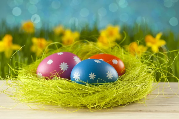 Huevos de Pascua de colores en el nido — Foto de Stock