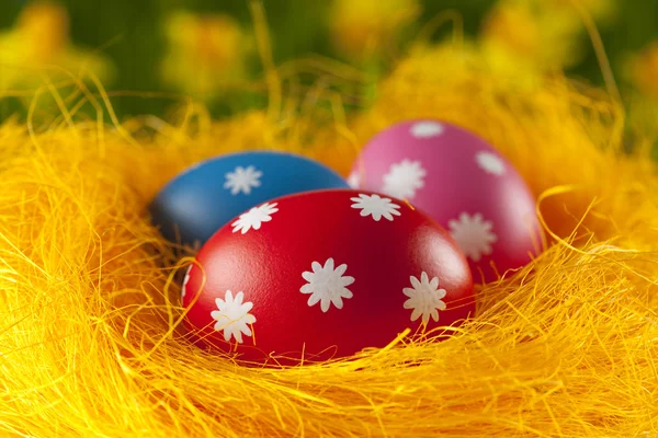 Colored Easter eggs in the nest — Stock Photo, Image