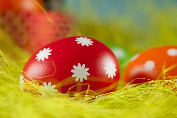 Uova di Pasqua colorate nel nido — Foto Stock