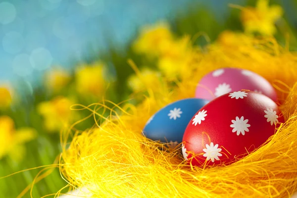 Oeufs de Pâques colorés sur fond bleu — Photo