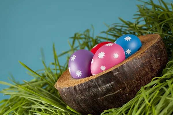 Цветные пасхальные яйца в траве — стоковое фото