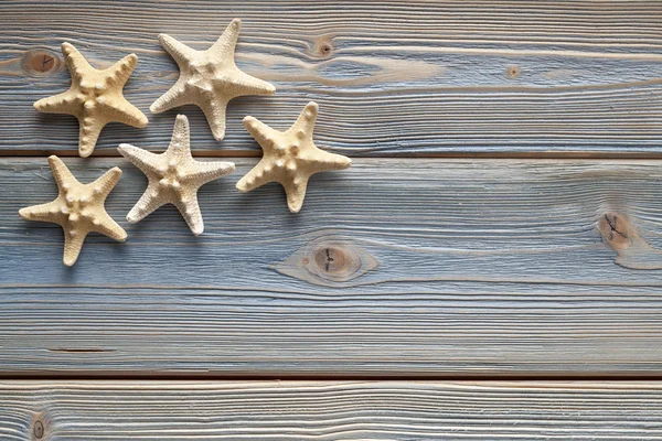 Estrella de mar en tablas — Foto de Stock
