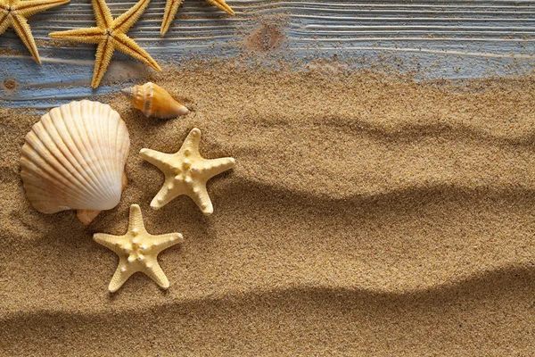 Muscheln auf Sand und Planken — Stockfoto