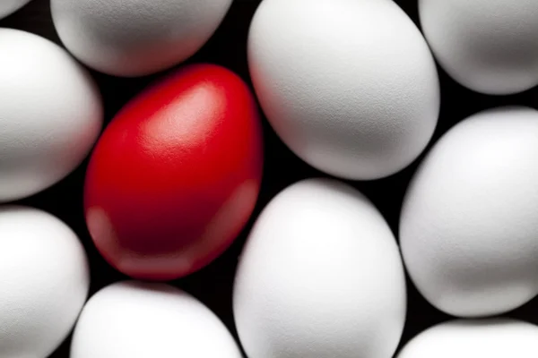 One red and many white eggs — Stock Photo, Image