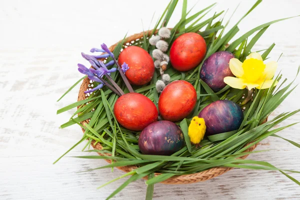 Colorful homemade easter eggs in nest — Stock Photo, Image