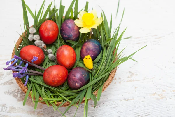 Coloridos huevos caseros de Pascua en el nido —  Fotos de Stock