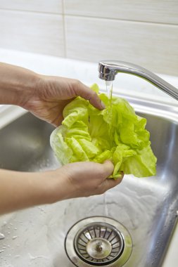 Taze yeşil salata yıkama kadın