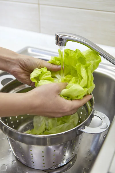 Жінка миє свіжий зелений салат — стокове фото