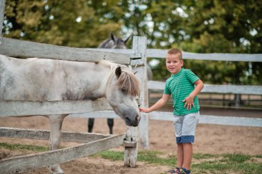 Genç bir çocuk kırsalda at okşuyor.