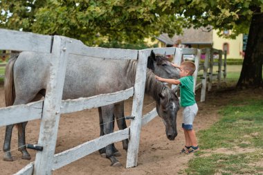 Genç çocuk kırsalda iki at okşuyor.