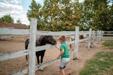 Çiftlikte çocuk besleyen bir hayvan