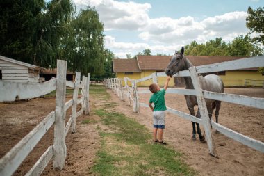 Küçük bir çocuk güzel bir yaz gününde çiftlikte at besliyor..