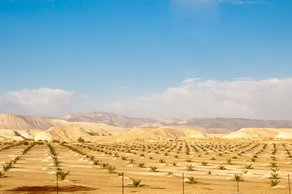 Çöl ve dağ manzarası, İsrail — Stok fotoğraf