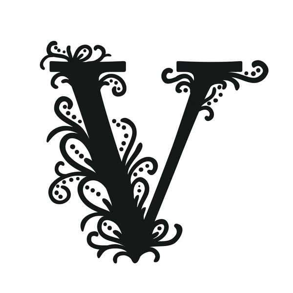 Gestileerde kalligrafische V — Stockvector
