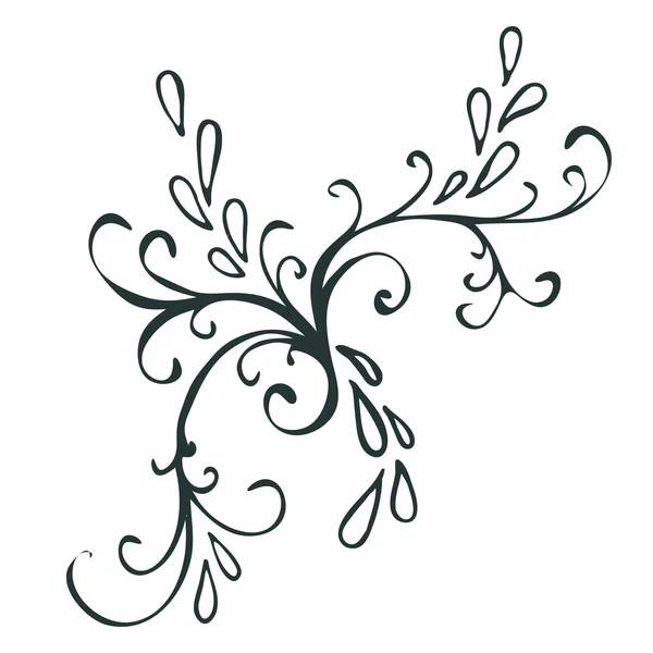 Calligrafisch ontwerpelement — Stockvector