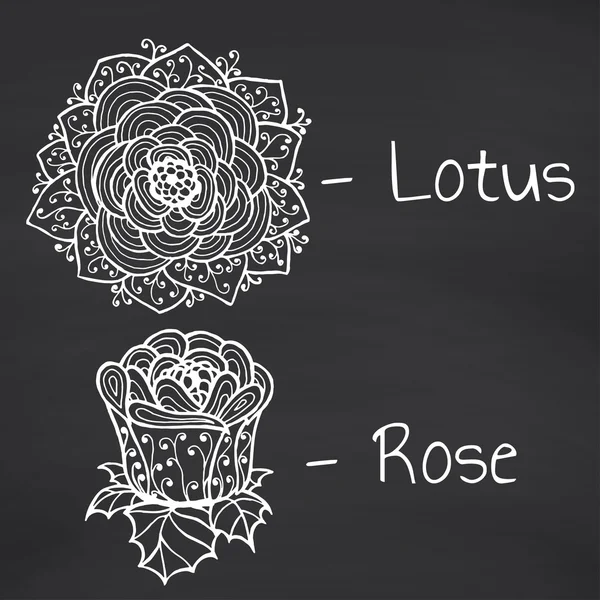 Lótus e Rosa —  Vetores de Stock