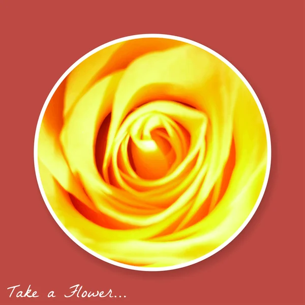 Πάρτε ένα λουλούδι σε floral φόντο. — Διανυσματικό Αρχείο