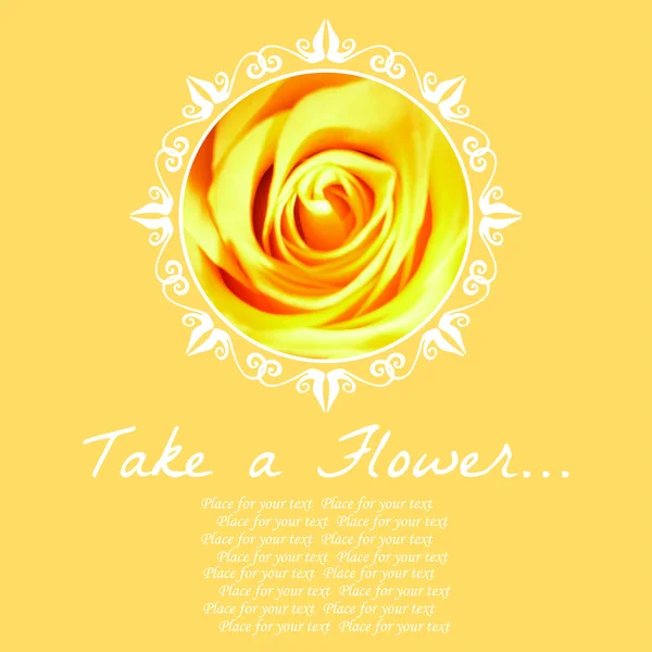 Tome una flor sobre fondo floral . — Vector de stock