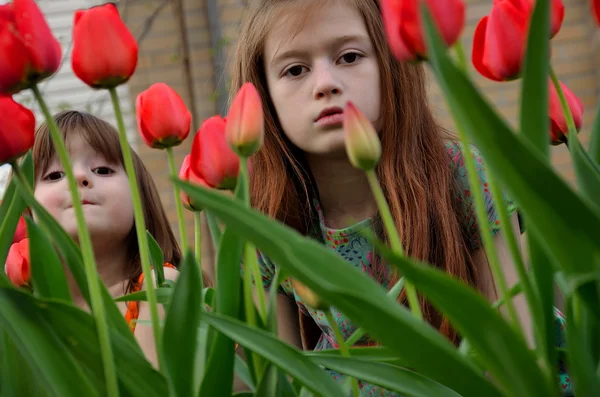 Zwei Mädchen mit Tulpen — Stockfoto