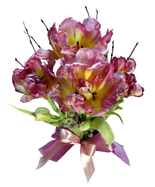 Strauß Tulpen — Stockfoto