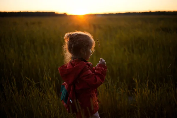 Porträt Eines Lockigen Mädchens Auf Dem Hellen Hintergrund Des Sonnenuntergangs — Stockfoto