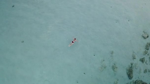 Belle Jeune Femme Nageant Couchée Sur Une Surface Eau Dans — Video