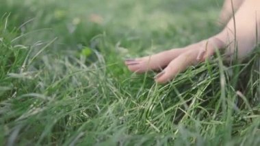 Kızlar çimlerin üzerinde hareket eder. Yavaş çekim sihirli yumuşak ışık. Doğa arka planına dokunmak, el ele tutuşmak.