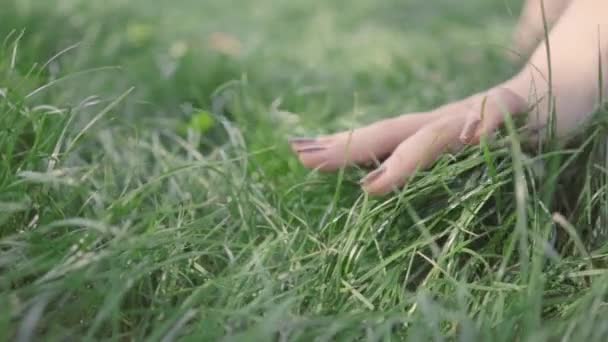 Girls Hand Moving Grass Slow Motion Magical Soft Light Touching — Stock Video