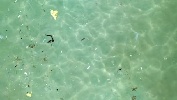 受污染海滩的空中景观 在海里漂浮的塑料 — 图库视频影像