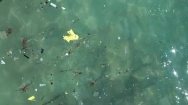 Kirlenmiş plajın havadan görünüşü, denizde yüzen plastik.