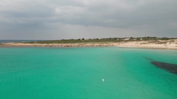 Uitzicht Vanuit Lucht Prachtige Kustlijn Met Kristalwater — Stockvideo