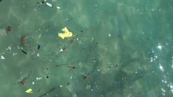 Vista Aérea Playa Contaminada Plástico Flotando Mar — Vídeos de Stock