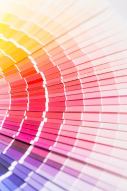 Pantone örnek renkleri kataloğu açın.