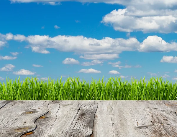 Hierba verde y cielo azul sobre fondo de madera . — Foto de Stock