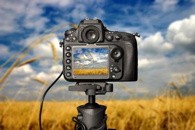 gün dijital fotoğraf makinesi.