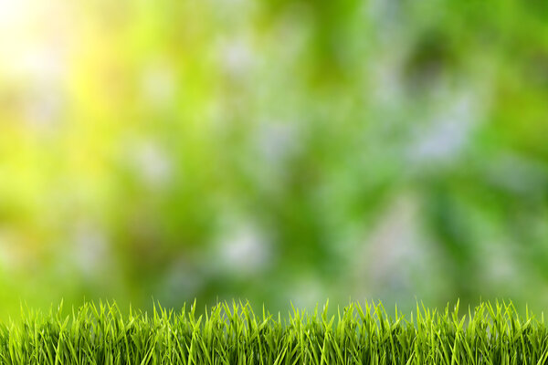 Abstract natural backgrounds on green grass.