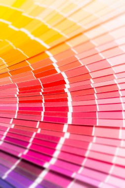 Pantone örnek renkleri kataloğu açın.