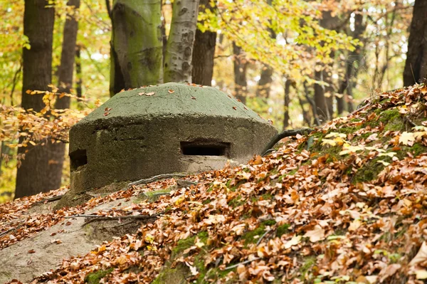 Antigo bunker na floresta — Fotografia de Stock